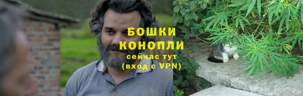 ECSTASY Губаха