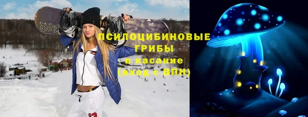 твердый Грязовец