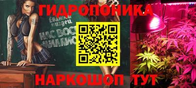 крисы Жуковский