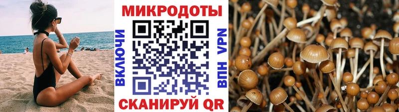 Псилоцибиновые грибы GOLDEN TEACHER  Кунгур 