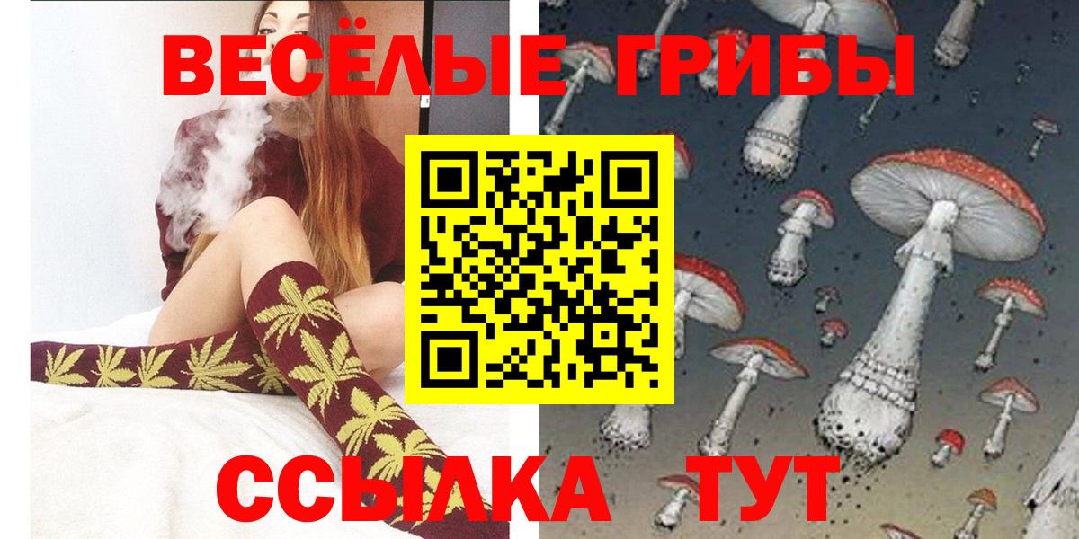 Галлюциногенные грибы Psilocybine cubensis  хочу наркоту  Кунгур 